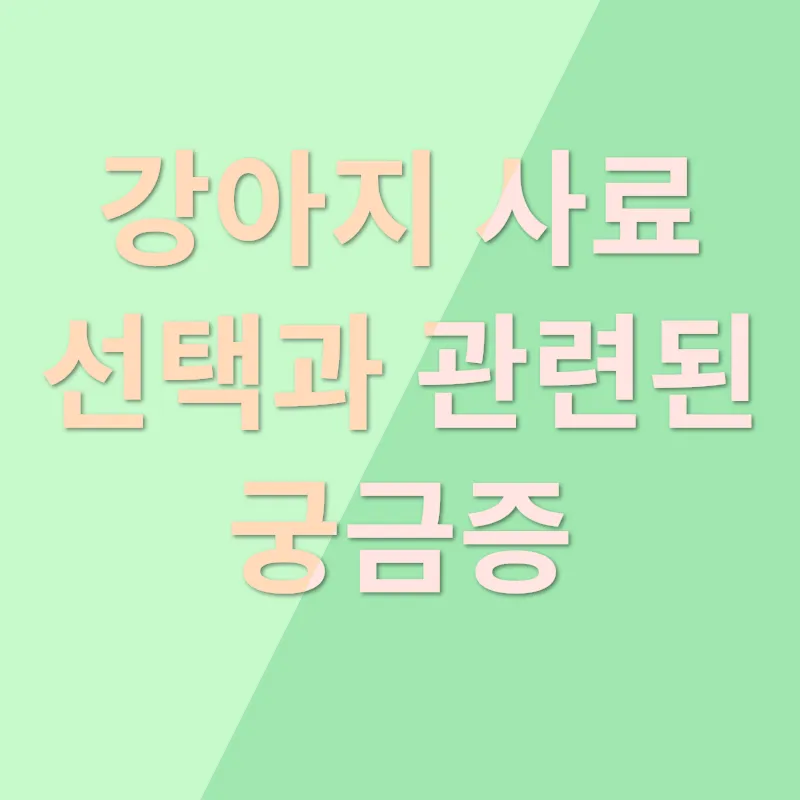 강아지 사료 선택_4