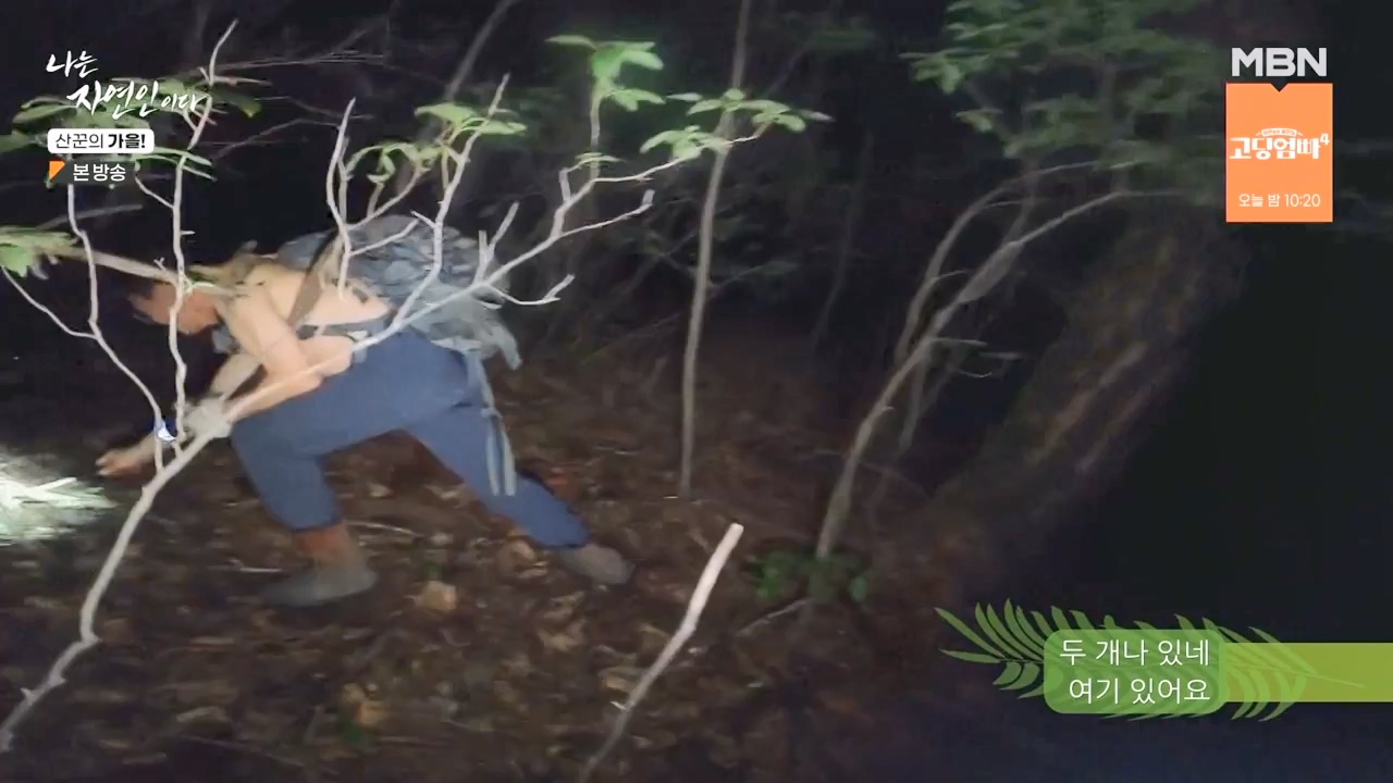 나는 자연인이다.E574.231005p-NEXT.mp4_20231005_200545.473.jpg