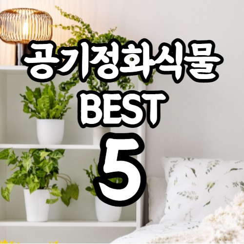  공기정화식물 best 5 종류