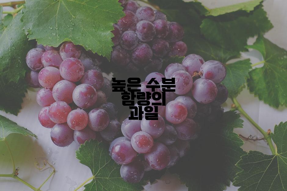 높은 수분 함량의 과일