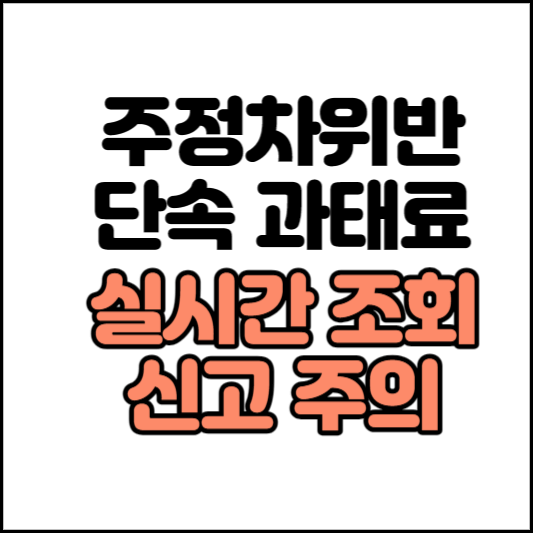 주정차위반-과태료-조회
