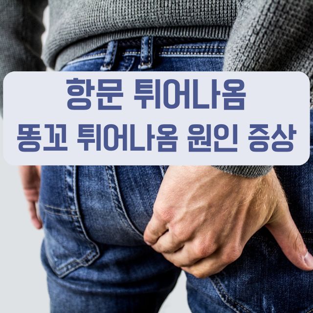 항문튀어나옴