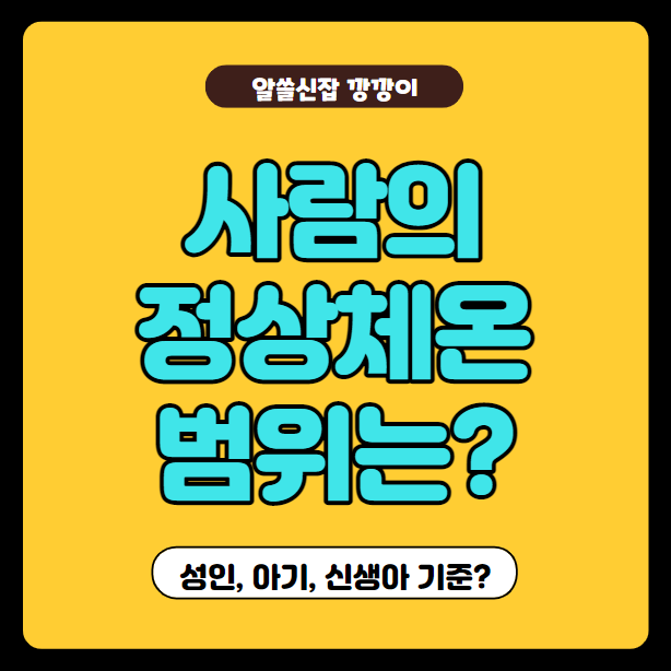  정상체온 범위 알고 계신가요? 성인, 아기, 신생아 기준 정리