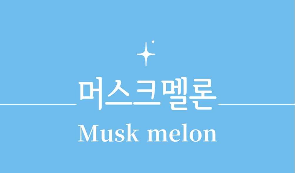 '머스크멜론(Musk melon)'