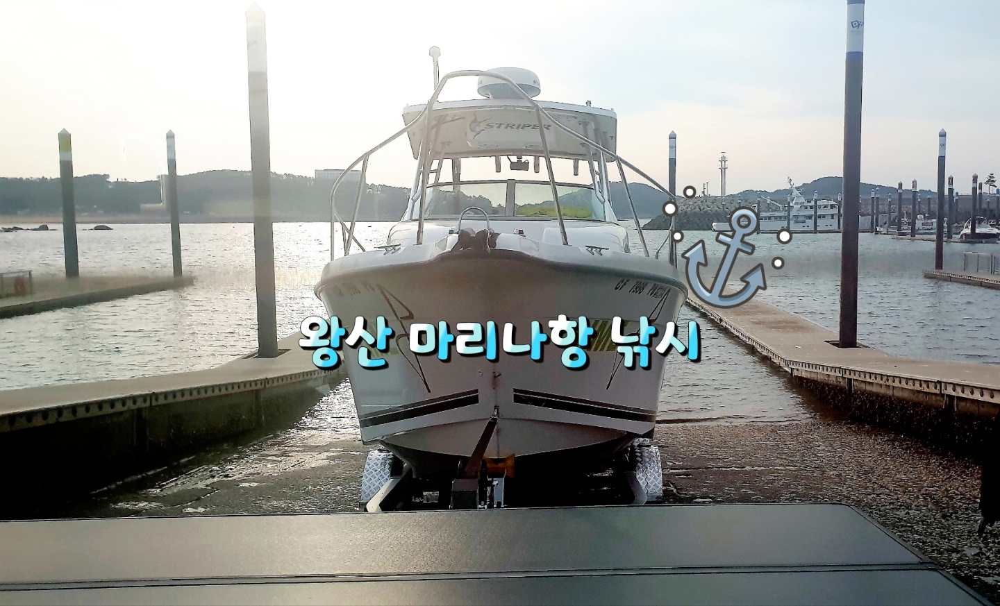  영종도 왕산 마리나항 보트에서 즐기는 낚시