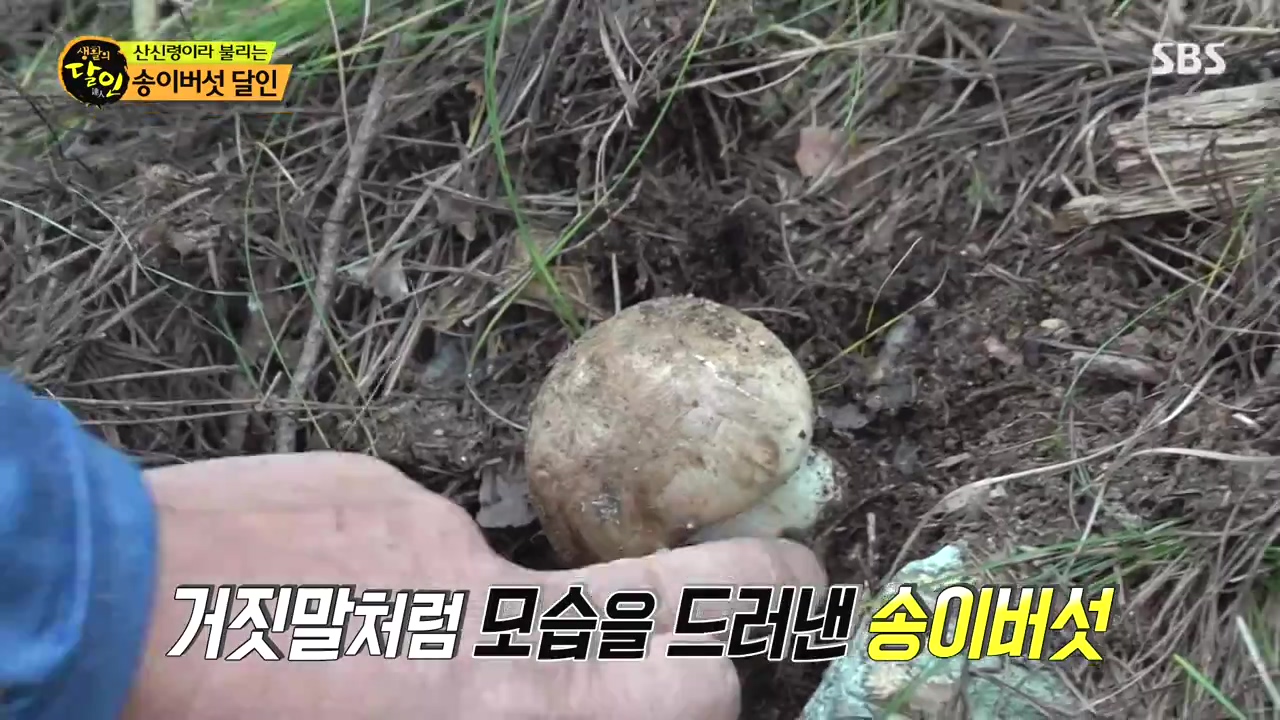 생활의 달인.E907.231010p-NEXT.mp4_20231010_202753.909.jpg