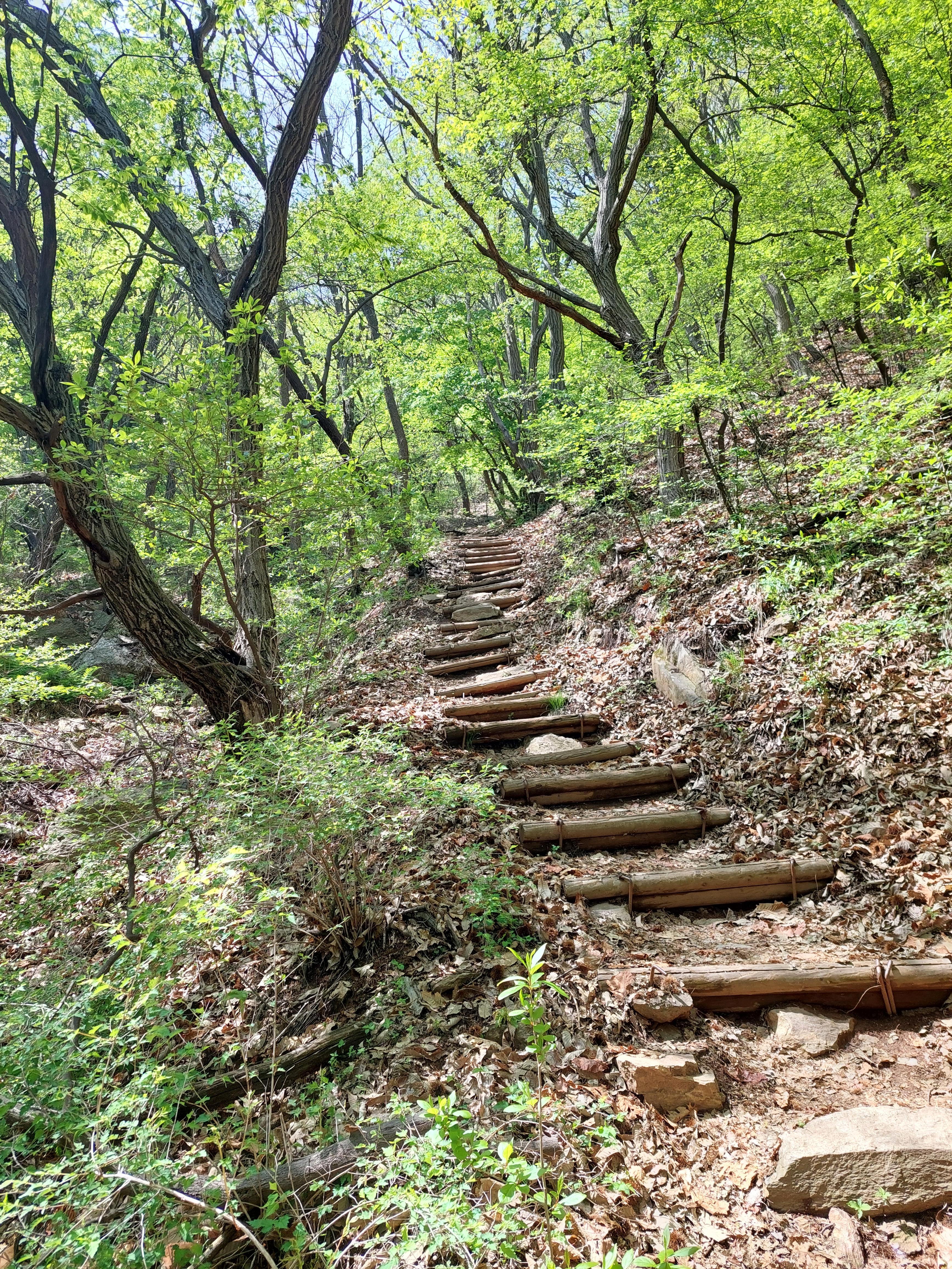 수리산