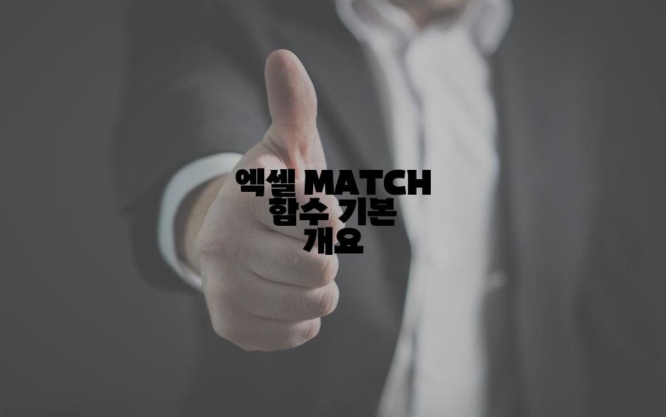 엑셀 MATCH 함수 기본 개요