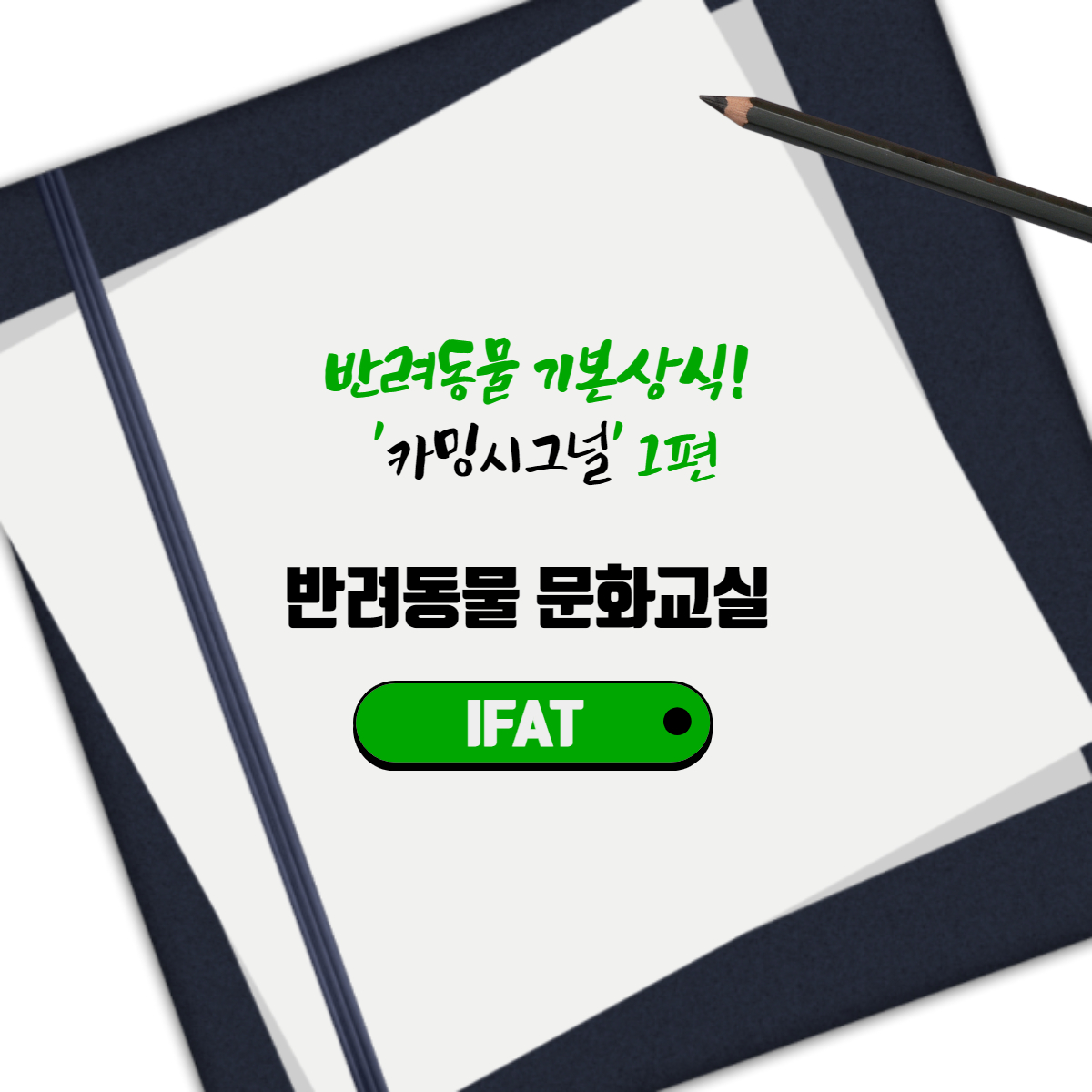  반려동물 기본상식! '카밍시그널' 1편