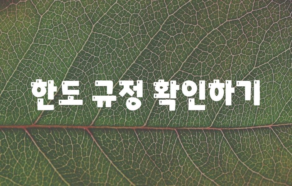 한도 규정 확인하기