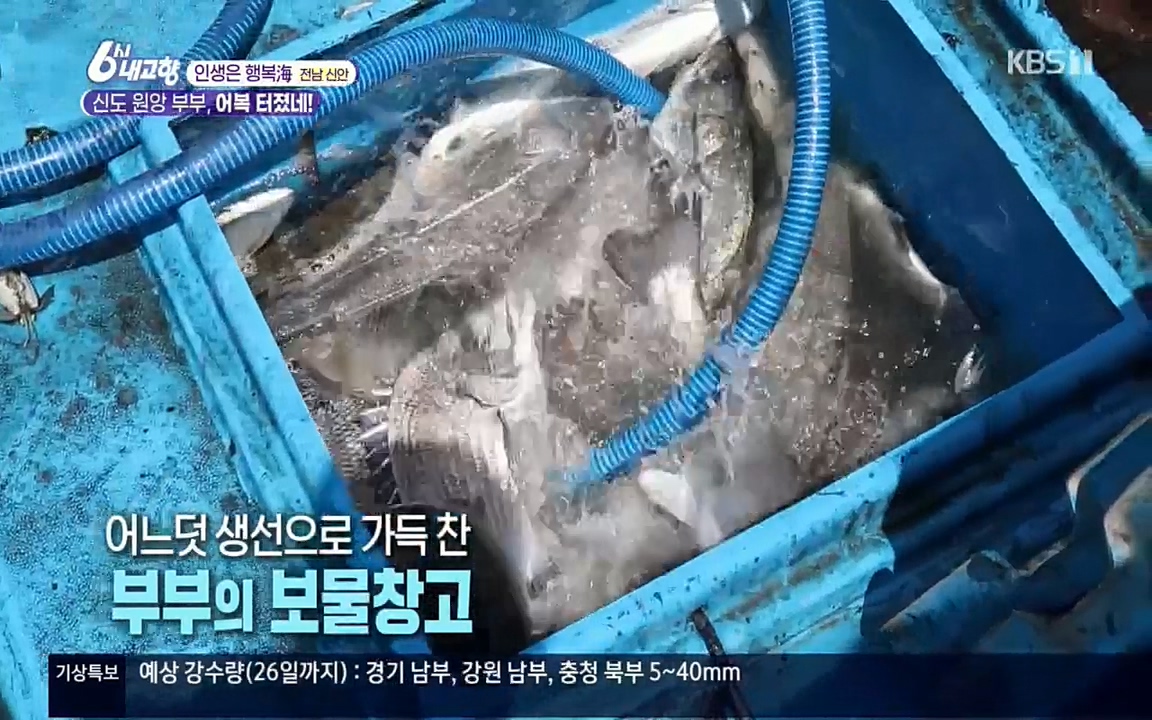 6시 내고향.E7518.220426p.H264-F1RST.mp4_20220504_192352.965.jpg
