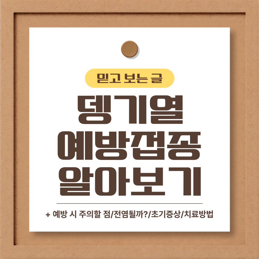  뎅기열 예방접종 알아보기