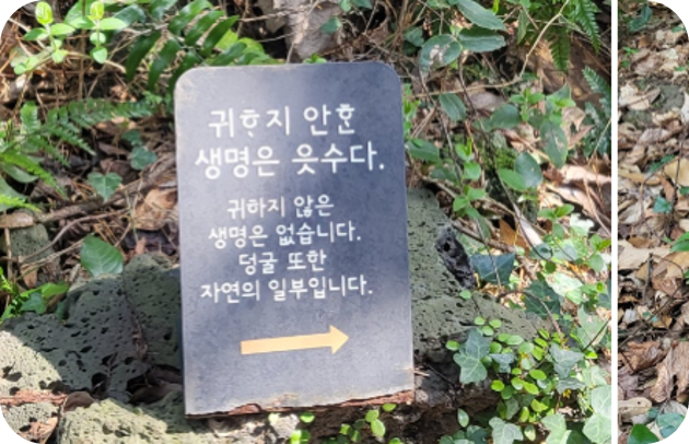 귀하지 않은 생명은 없습니다 덩글또한 자연의 일부입니다