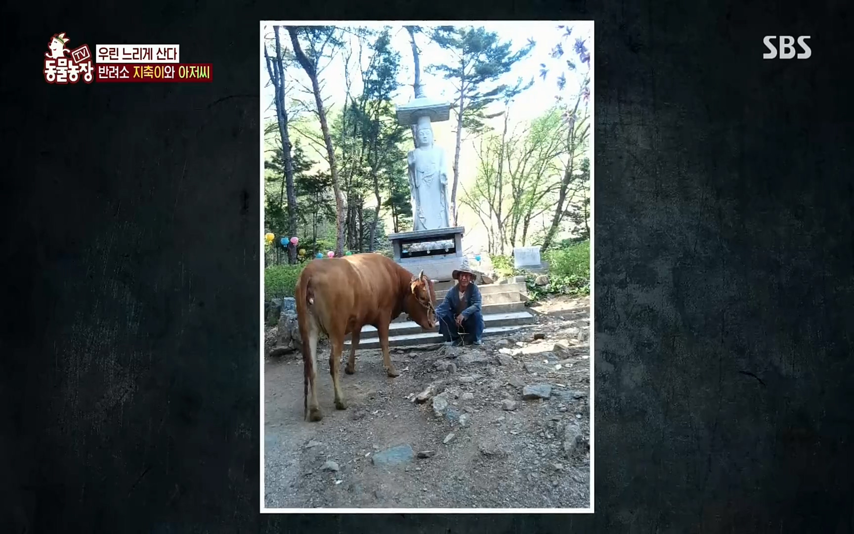 TV 동물농장.E1074.220619p.H264-F1RST.mp4_20220619_181514.476.jpg