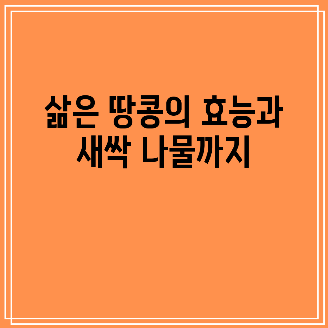 삶은땅콩의효능과새싹나물까지