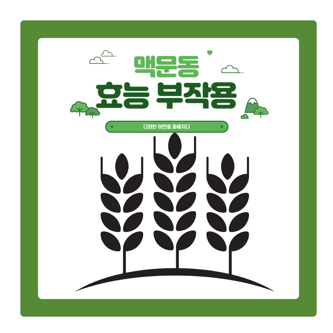  맥문동 효능 5가지를 활용해 다양한 이면을 파헤치다