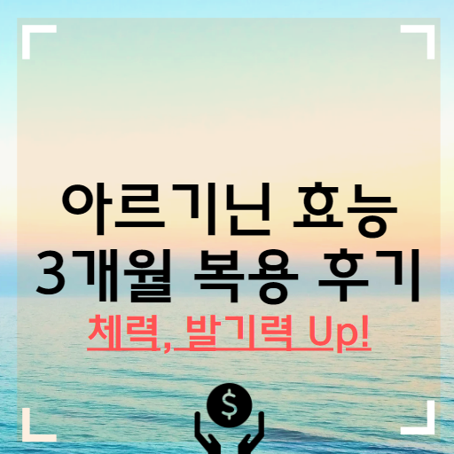 L-아르기닌 효능 3개월 복용 후기