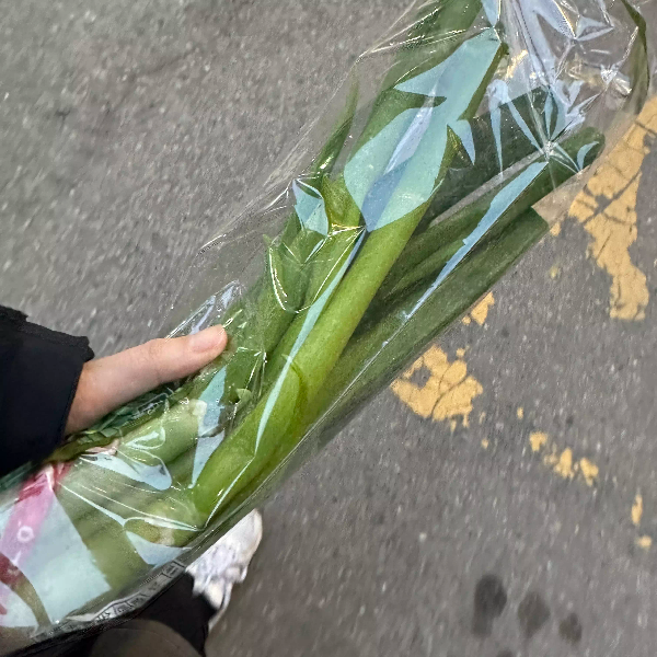 대파 비싸다