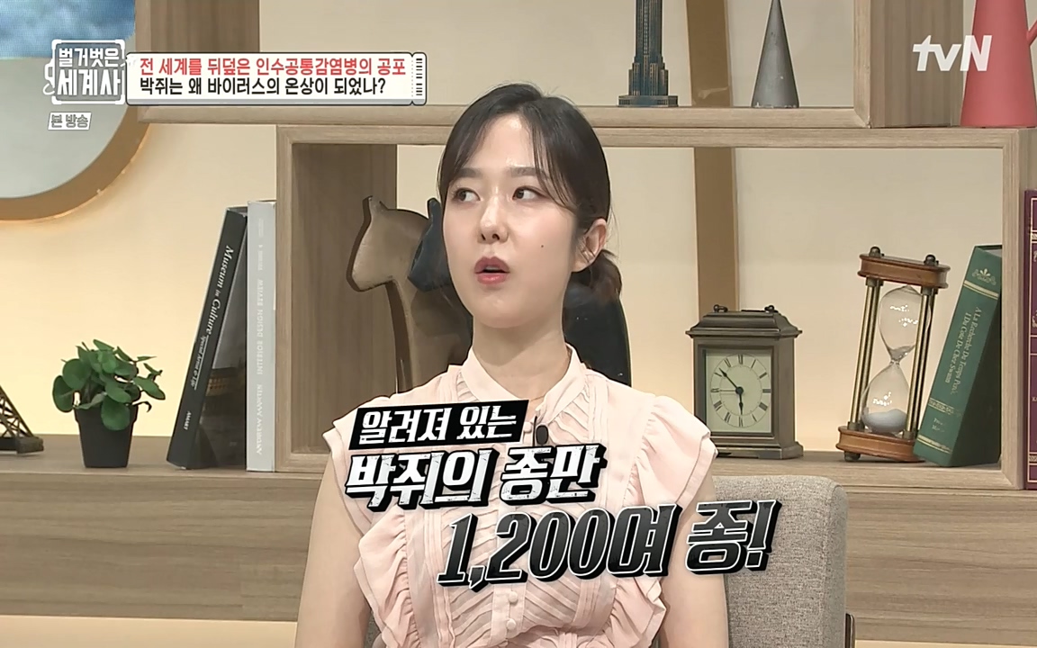 벌거벗은 세계사.E59.220810p-NEXT.mp4_20220810_212417.109.jpg