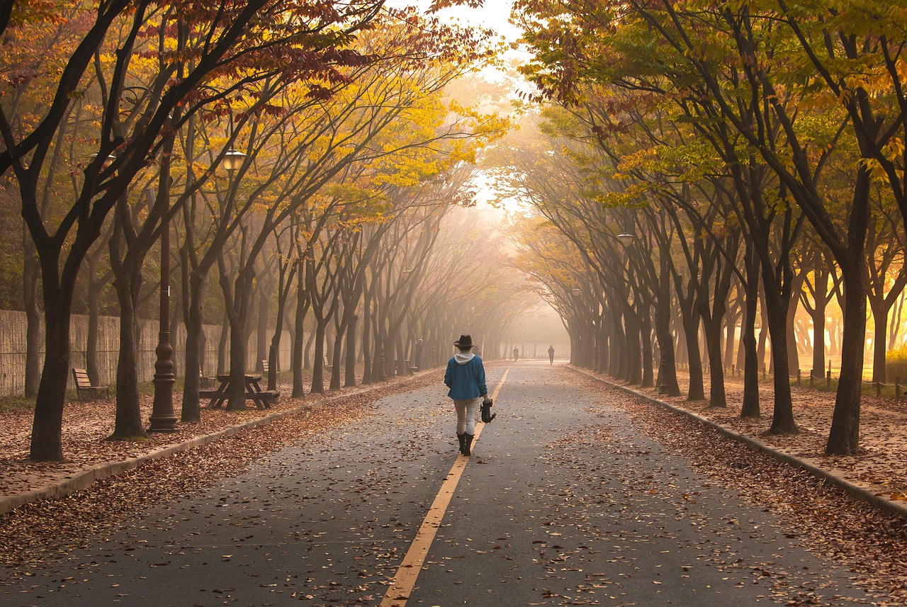 대구 가을 여행 관련 사진