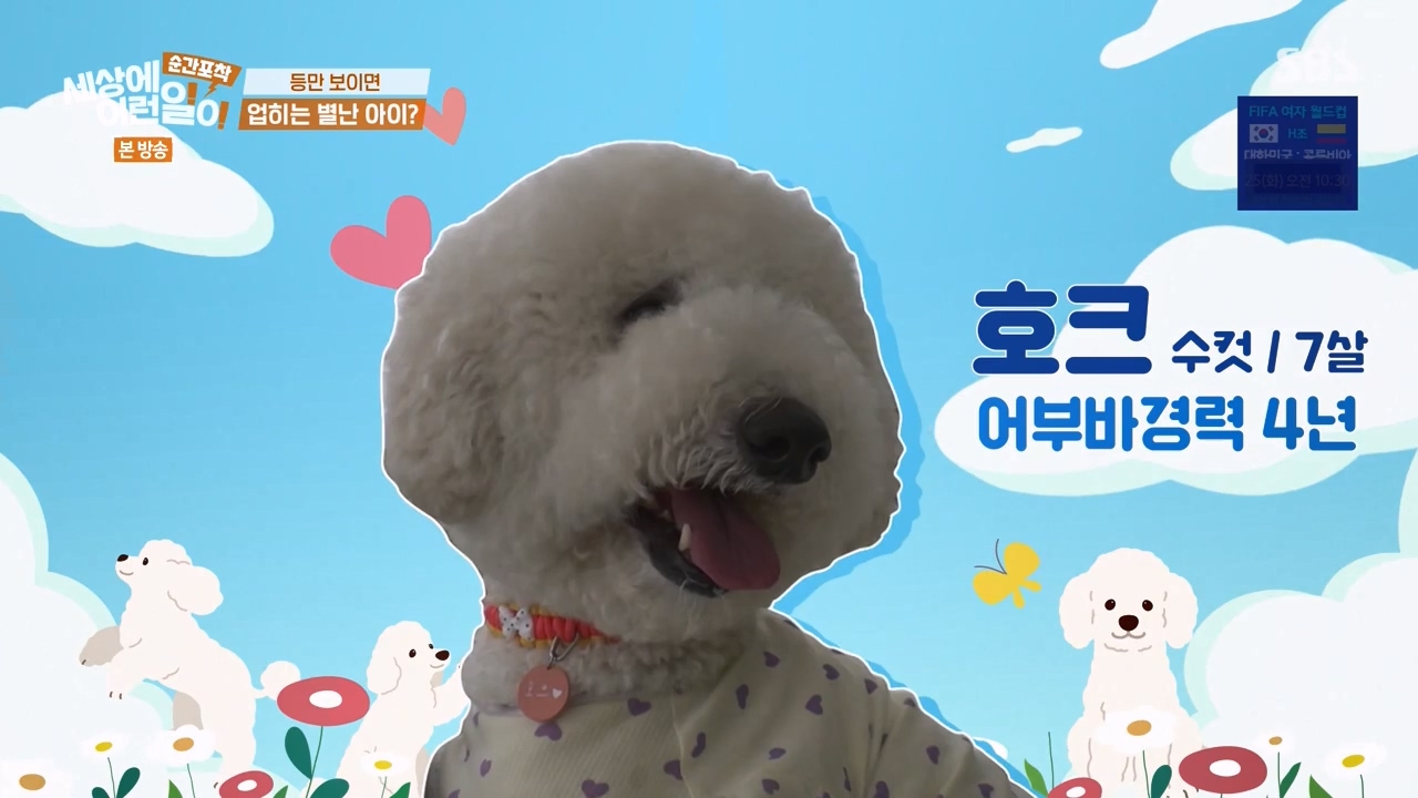 순간포착 세상에 이런일이.E1238.230723p-NEXT.mp4_20230724_202225.651.jpg