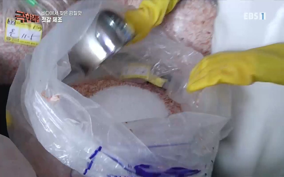 TV - 교육의 중심 EBS바다에서 찾은 감칠맛 새우젓과 다시마.mp4_20220717_175008.978.jpg