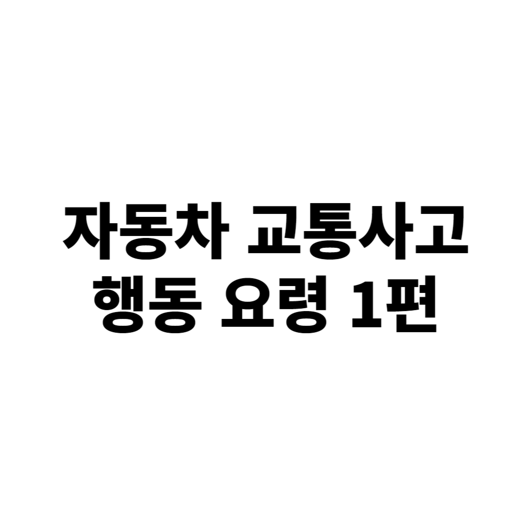  <정보> 자동차 교통사고 시 행동 요령 1편 "사고 현장 조치 방법"