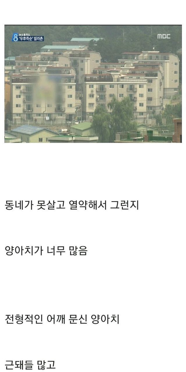  마체테 구매한 디씨인.JPG