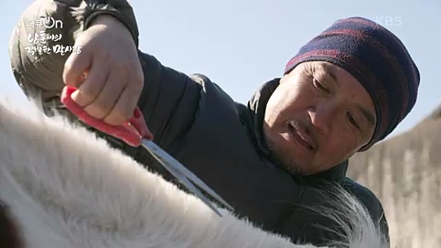 [189회] 다큐온 - KBS남훈 씨의 각별한 말 사랑] 연평균 1400여 마리의 경주마들이 경마장을 떠나 퇴역 경주마가 된다.ts_20230330_211151.433.jpg