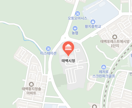 태백시청 위치