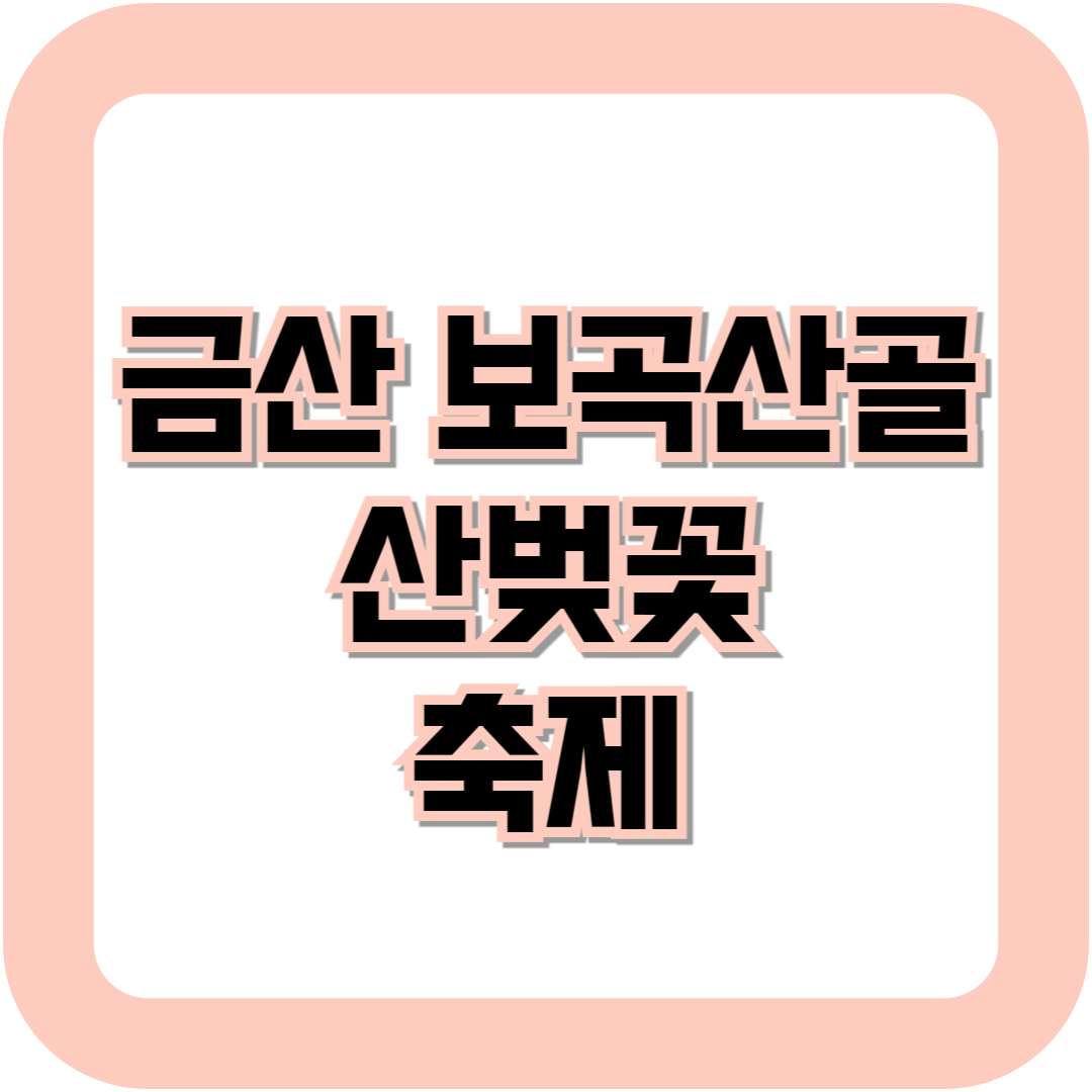 금산 보곡산골 산벚꽃 축제
