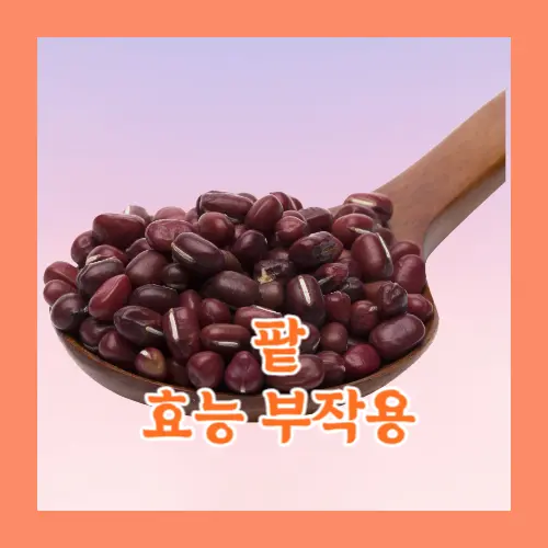 팥 효능 부작용