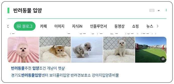 반려동물 입양_1_subsection