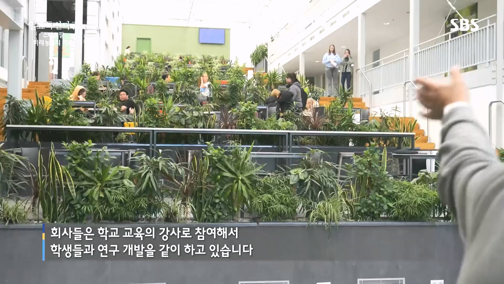 일요 특선 다큐멘터리.E348.240804p.H264-F1RST.mp4_20240805_201503.226.jpg