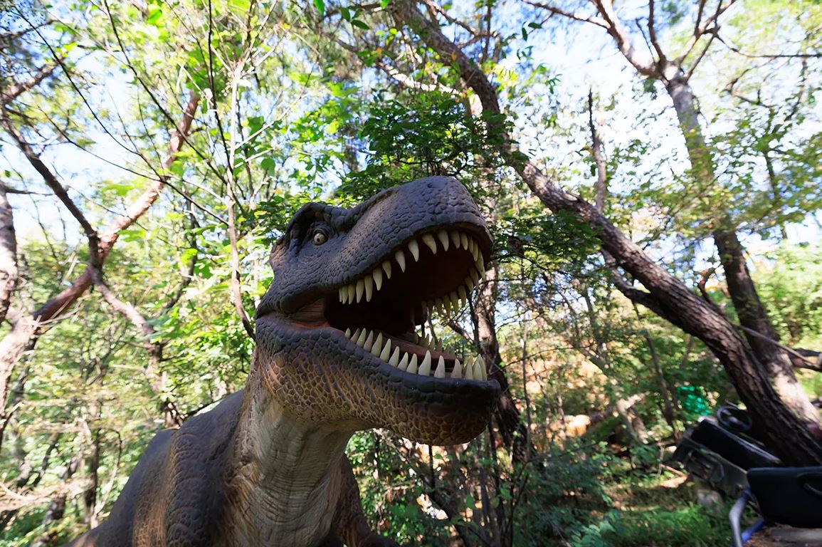 김해 가야랜드