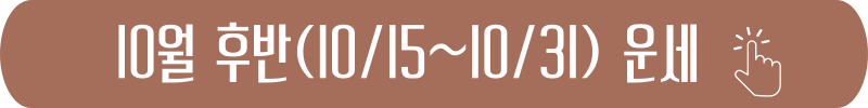 전갈자리 2024년 10월 후반(10/15~10/31) 별자리 운세