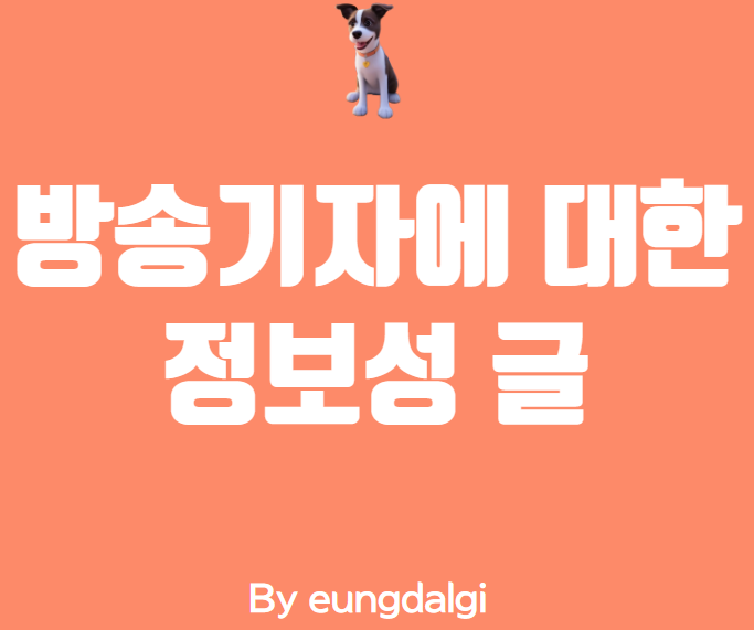  방송 기자에 대한 정보성 글