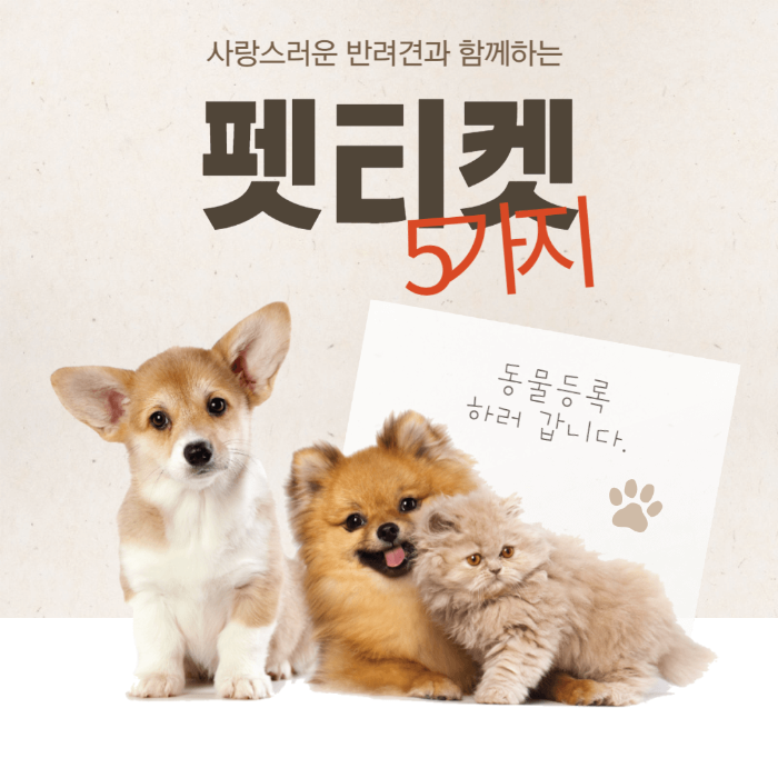  반려견 과 함께 하기 위해 꼭 지켜야 하는 5가지 (썸)