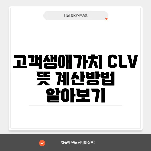 고객생애가치 CLV 뜻 계산방법 알아보기