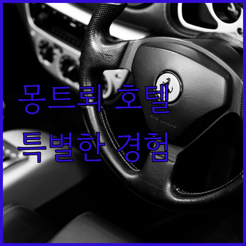 스위스 몽트뢰 호텔 여행.. 프레디 