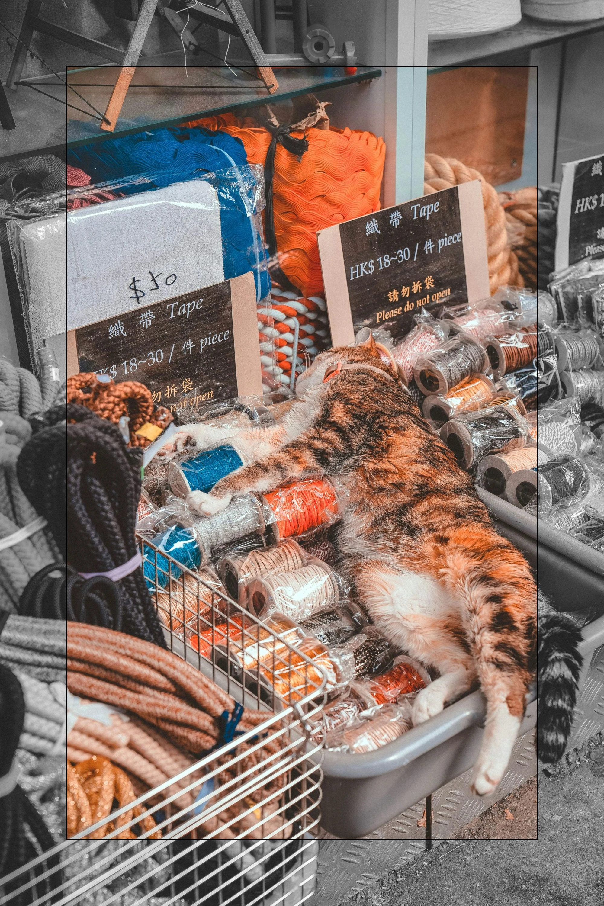 이미지_3