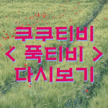  쿠쿠티비 다시보기 최신버전