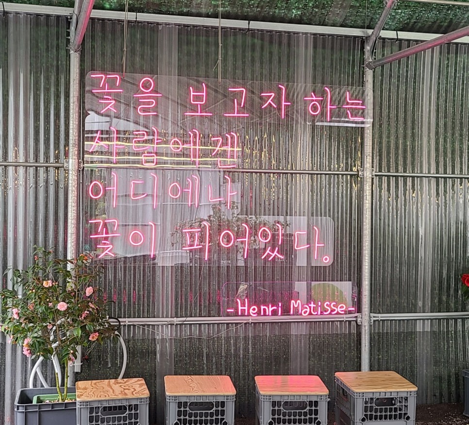 후불제 투어 이용 후기 8