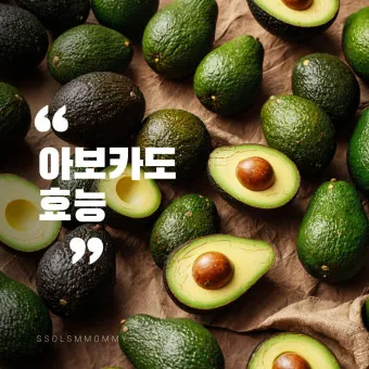 덜 익은 아보카도 먹으면 생기는 일 맛 소화 건강에 미치는 영향 총정리_18