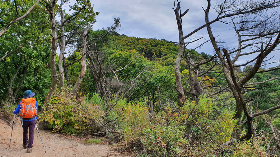 /초가을 풍경 도봉산 33