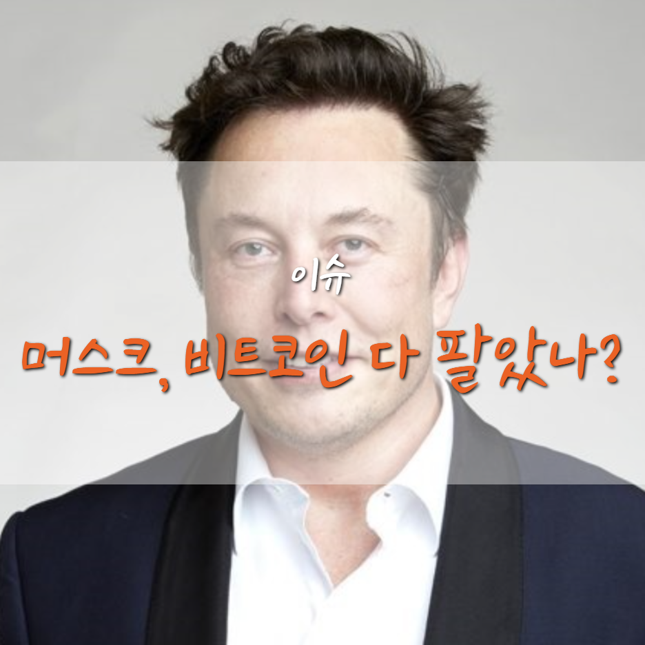  테슬라 머스크 보유 비트코인 모두 처분했을까?