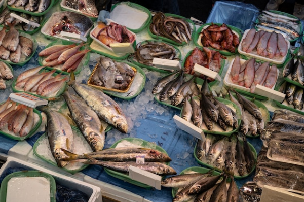 수산시장