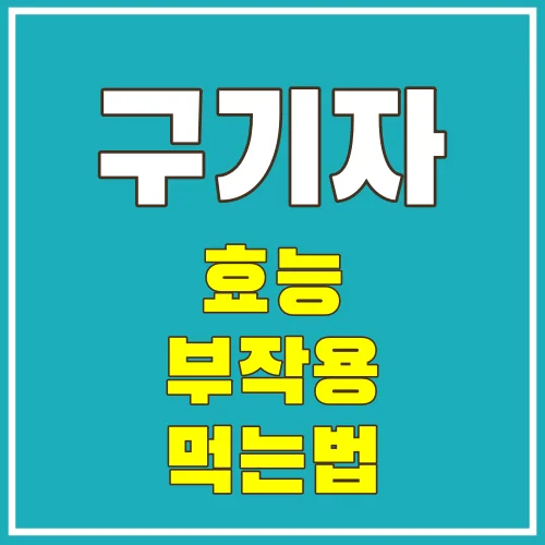 구기자효능-썸네일