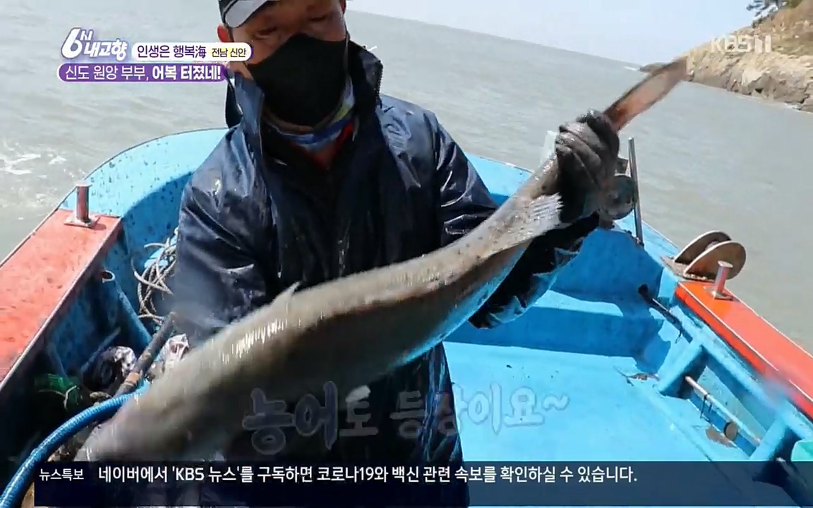 6시 내고향.E7518.220426p.H264-F1RST.mp4_20220504_192335.753.jpg