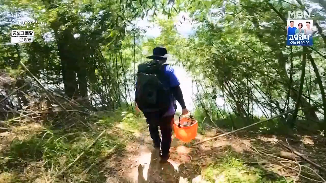 나는 자연인이다.E608.240606p-NEXT.mp4_20240606_164038.729.jpg